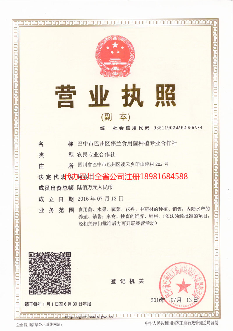 东兴东兴伟兰食用菌种植专业合作社