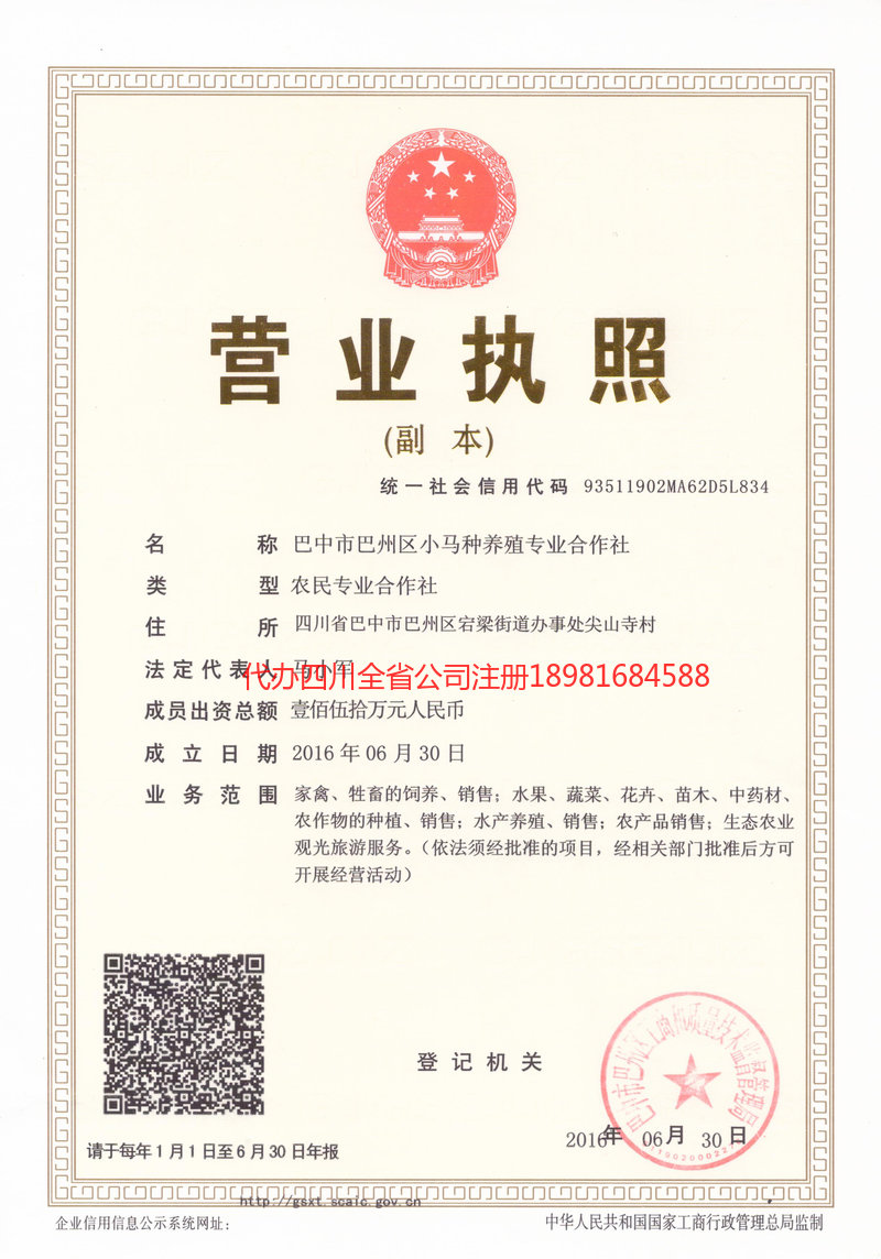 东兴东兴小马种养殖专业合作社